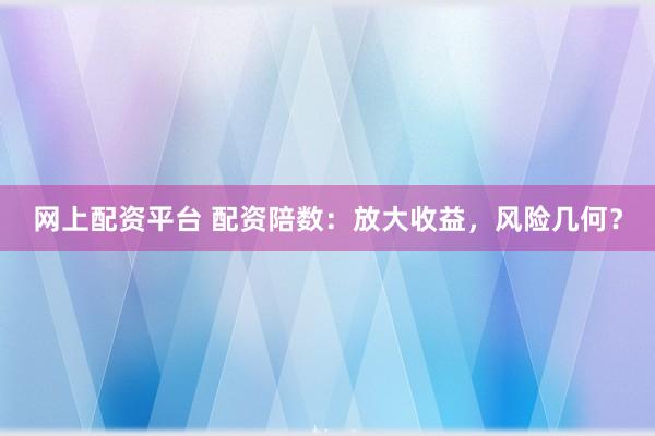 网上配资平台 配资陪数：放大收益，风险几何？